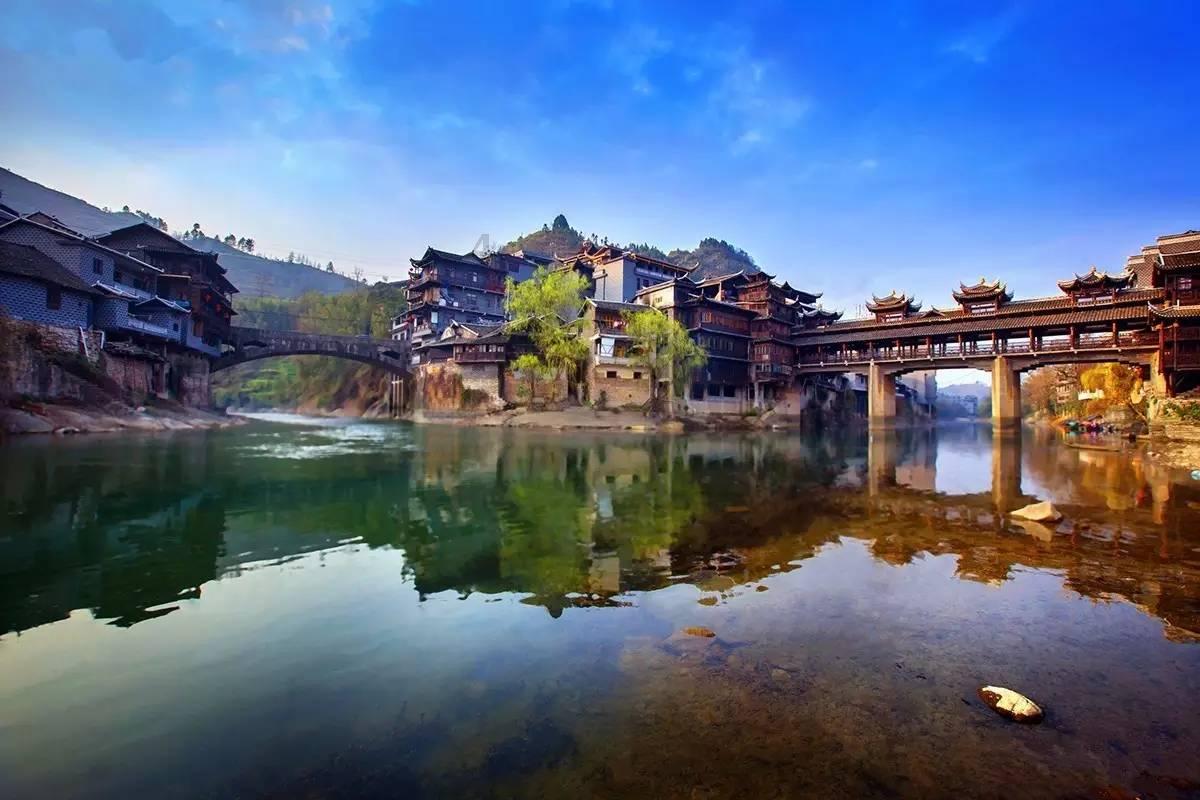 动物帮帮忙保卫家园